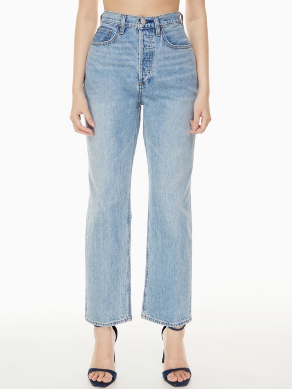 NWT Aritzia Denim Forum The Joni High Rise Loose